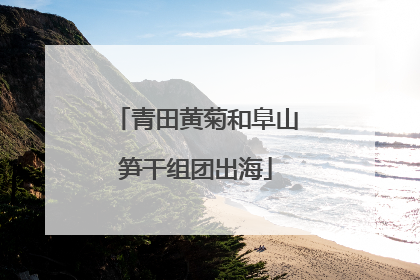 青田黄菊和阜山笋干组团出海