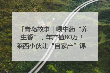 青岛故事｜喂中药“养生餐”，年产值80万！莱西小伙让“自家产”锦鲤“游”向全国