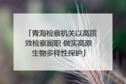 青海检察机关以高质效检察履职 做实高原生物多样性保护