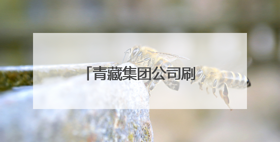青藏集团公司刷新“五一”假期旅客运输历史纪录