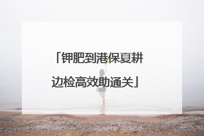 钾肥到港保夏耕 边检高效助通关