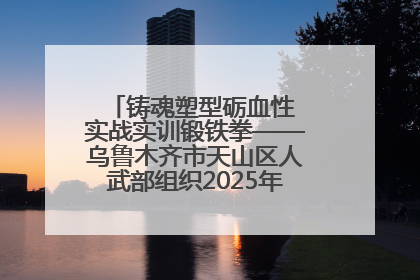 铸魂塑型砺血性 实战实训锻铁拳——乌鲁木齐市天山区人武部组织2025年度民兵集中轮训