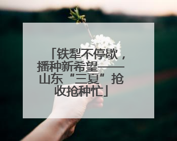 铁犁不停歇，播种新希望——山东“三夏”抢收抢种忙