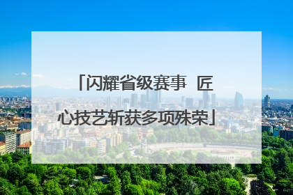 闪耀省级赛事  匠心技艺斩获多项殊荣