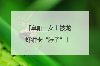 阜阳一女士被龙虾钳卡“脖子”