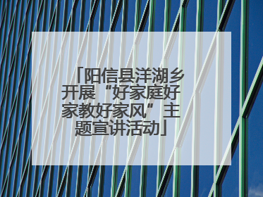 阳信县洋湖乡开展“好家庭好家教好家风”主题宣讲活动