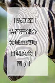 陈武军主持召开部分领域重点项目调度会（图）