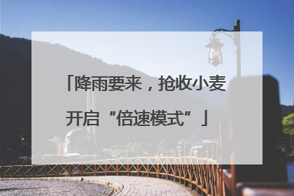 降雨要来，抢收小麦开启“倍速模式”