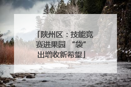 陕州区：技能竞赛进果园 “袋”出增收新希望