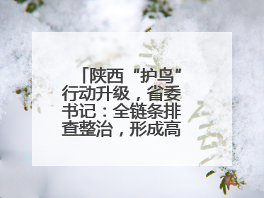 陕西“护鸟”行动升级，省委书记：全链条排查整治，形成高压震慑态势