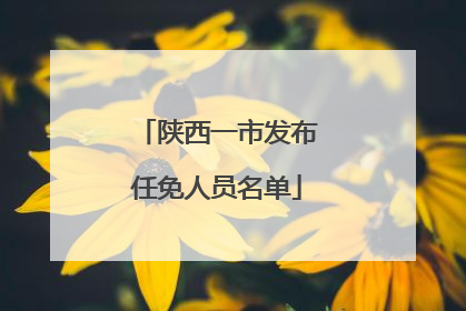陕西一市发布任免人员名单