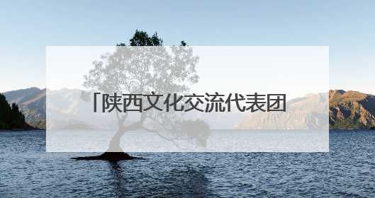 陕西文化交流代表团赴罗马尼亚胡内多阿拉省图书馆访问交流
