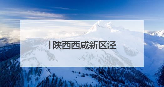 陕西西咸新区泾河新城：300万美元签约！茯茶“金花”绽放中亚