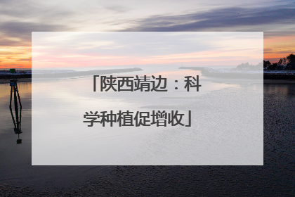 陕西靖边：科学种植促增收