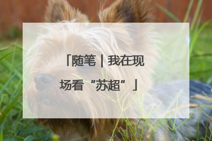 随笔｜我在现场看“苏超”