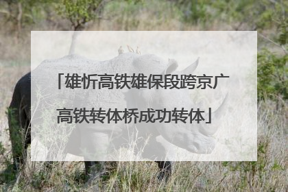 雄忻高铁雄保段跨京广高铁转体桥成功转体