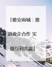 雅安雨城：推进政企合作 实现互利共赢