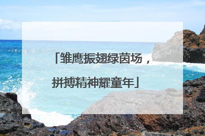 雏鹰振翅绿茵场，拼搏精神耀童年