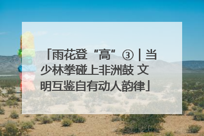 雨花登“高”③｜当少林拳碰上非洲鼓 文明互鉴自有动人韵律