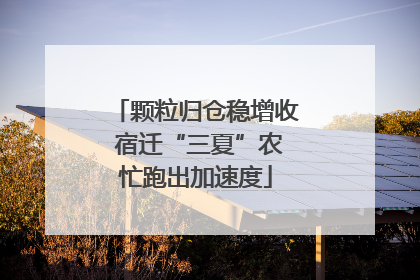 颗粒归仓稳增收 宿迁“三夏”农忙跑出加速度