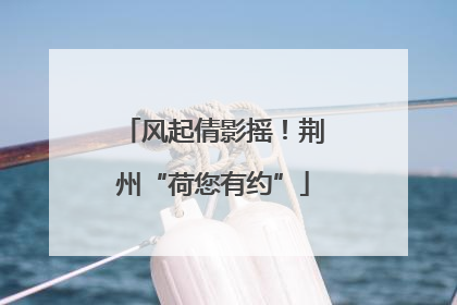 风起倩影摇！荆州“荷您有约”