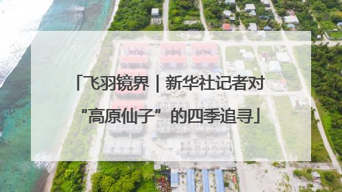 飞羽镜界｜新华社记者对“高原仙子”的四季追寻