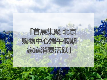 首展集聚 北京购物中心端午假期家庭消费活跃