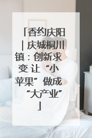 香约庆阳｜庆城桐川镇：创新求变 让“小苹果”做成“大产业”