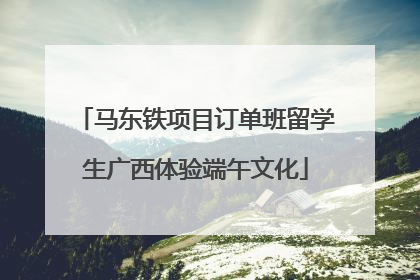 马东铁项目订单班留学生广西体验端午文化