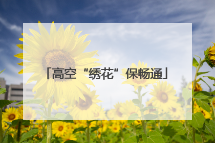 高空“绣花”保畅通