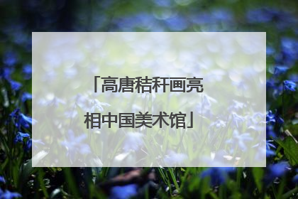 高唐秸秆画亮相中国美术馆