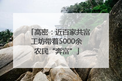高密：近百家共富工坊带着5000余农民“奔富”