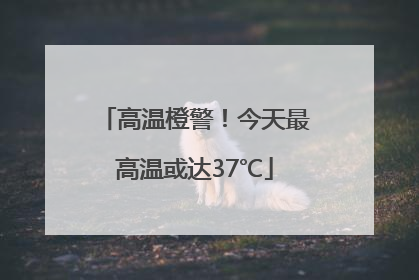 高温橙警！今天最高温或达37℃