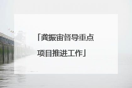 龚振宙督导重点项目推进工作