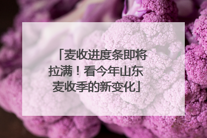 麦收进度条即将拉满！看今年山东麦收季的新变化