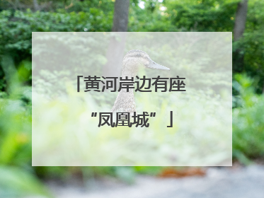 黄河岸边有座“凤凰城”