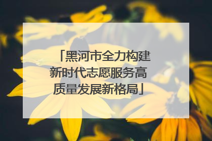 黑河市全力构建新时代志愿服务高质量发展新格局