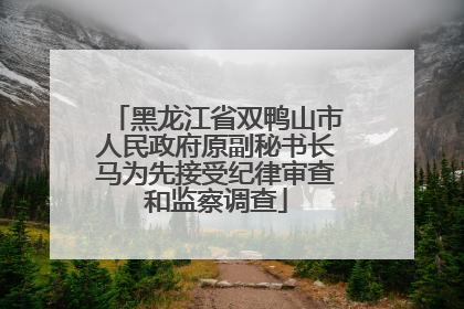 黑龙江省双鸭山市人民政府原副秘书长马为先接受纪律审查和监察调查