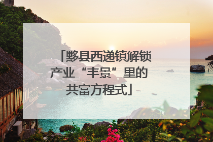 黟县西递镇解锁产业“丰景”里的共富方程式