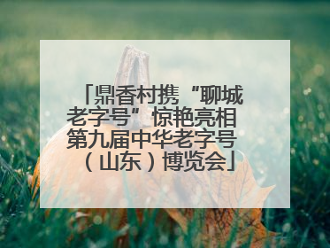 鼎香村携“聊城老字号”惊艳亮相第九届中华老字号（山东）博览会