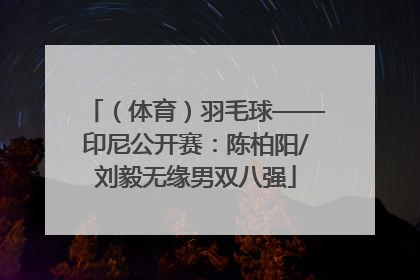 （体育）羽毛球——印尼公开赛：陈柏阳/刘毅无缘男双八强