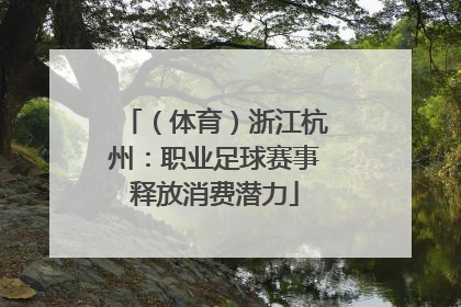 （体育）浙江杭州：职业足球赛事释放消费潜力