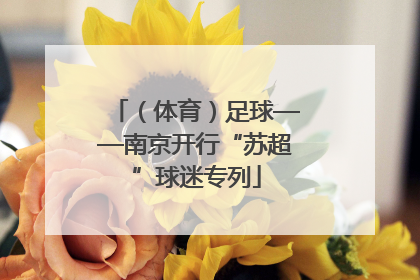 （体育）足球——南京开行“苏超”球迷专列