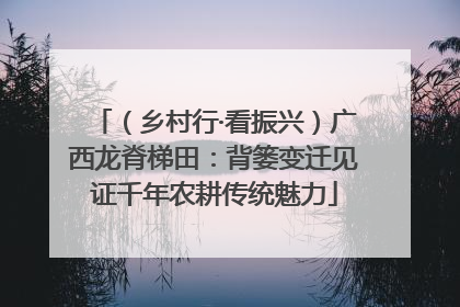 （乡村行·看振兴）广西龙脊梯田：背篓变迁见证千年农耕传统魅力
