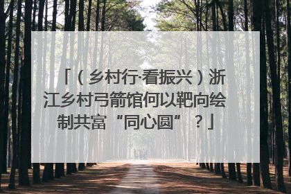 （乡村行·看振兴）浙江乡村弓箭馆何以靶向绘制共富“同心圆”？