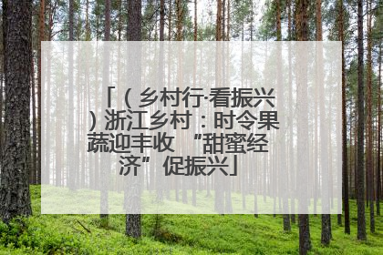 （乡村行·看振兴）浙江乡村：时令果蔬迎丰收 “甜蜜经济”促振兴