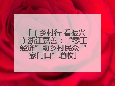（乡村行·看振兴）浙江嘉善：“零工经济”助乡村民众“家门口”增收