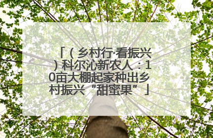 （乡村行·看振兴）科尔沁新农人：10亩大棚起家种出乡村振兴“甜蜜果”