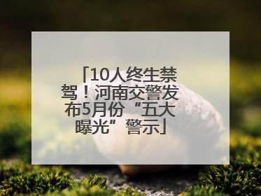 10人终生禁驾！河南交警发布5月份“五大曝光”警示