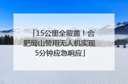 15公里全覆盖！合肥蜀山警用无人机实现5分钟应急响应